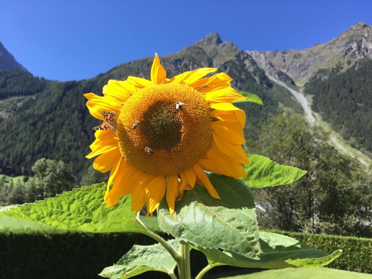 Haus Sonnwend Otel Sölden Dış mekan fotoğraf